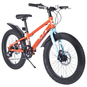 20 Inch Kids Bicycles , Fat Tire Mountain Bike for Boys and Girls Age 5 + Years ,Dual-Disc Brake,Shimano 7-Speed ,Kids Beach and Snow Bicycle (Color: as Pic)