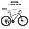 S24102 24 Inch Mountain Bike Boys Girls, Steel Frame, Shimano 21 Speed Mountain Bicycle with Daul Disc Brakes and Front Suspension MTB