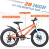 20 Inch Kids Bicycles , Fat Tire Mountain Bike for Boys and Girls Age 5 + Years ,Dual-Disc Brake,Shimano 7-Speed ,Kids Beach and Snow Bicycle